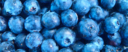 Blueberries. The Seaweed Bath Co.
