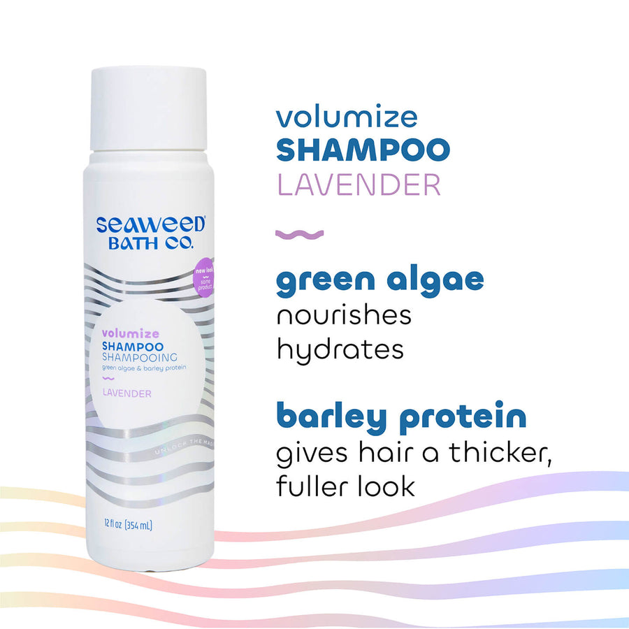 Seaweed Bath Co. Volumize Shampoo Key Ingredients: Volumize Shampoo in Lavender Bottle with Green Algae and Barley Protein.
